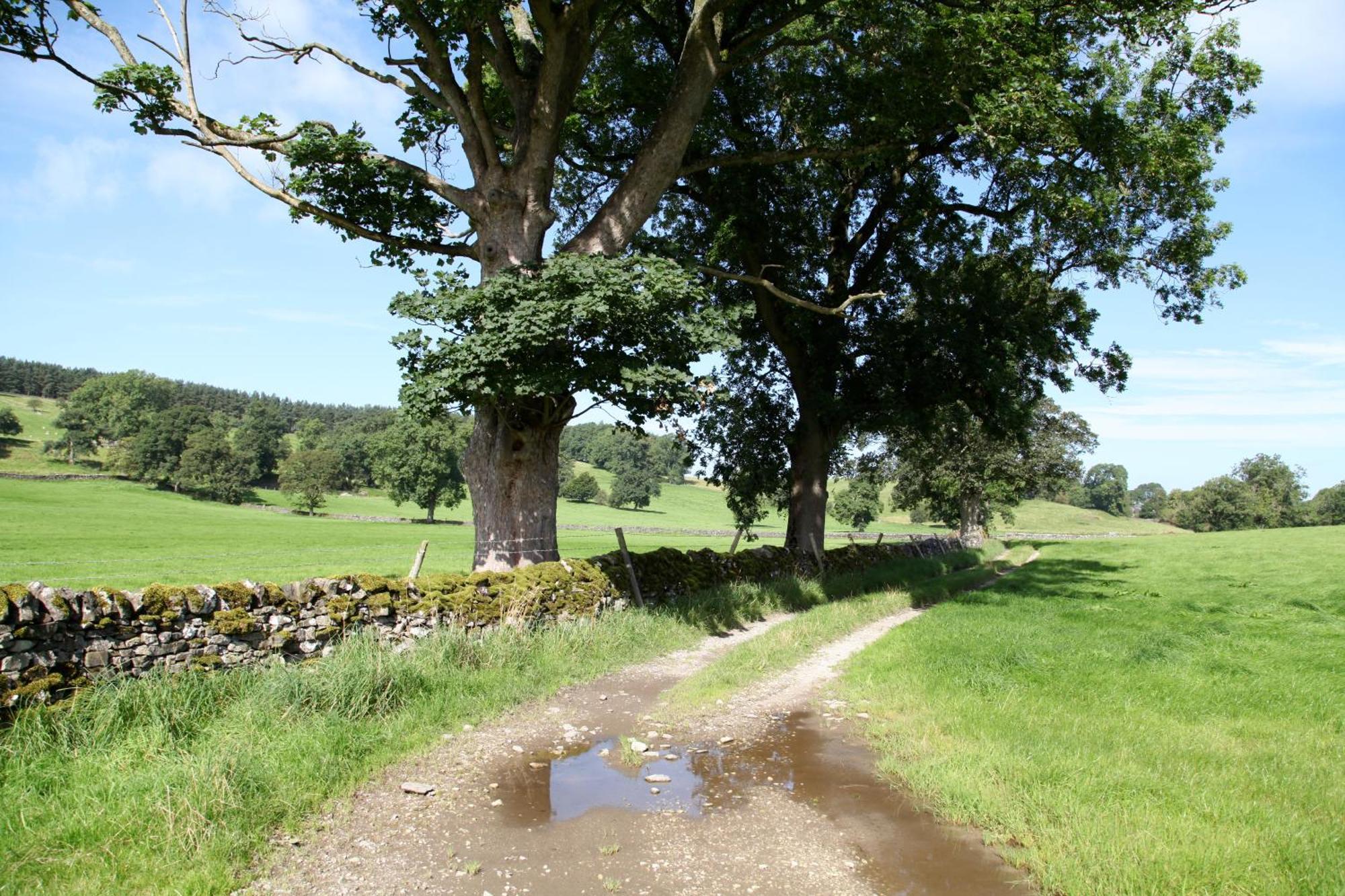 Green Grove Country House Malham Exteriér fotografie