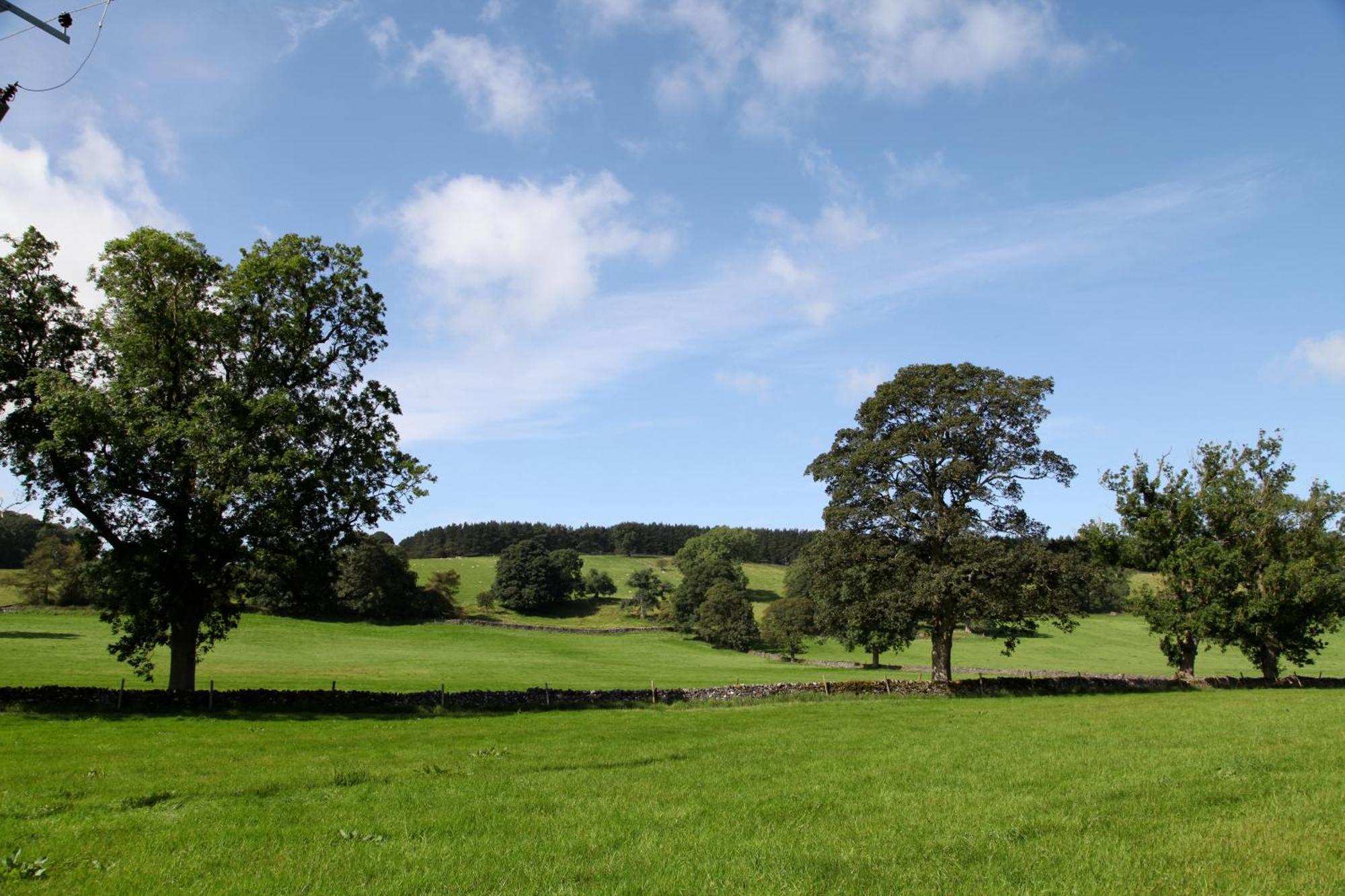 Green Grove Country House Malham Exteriér fotografie