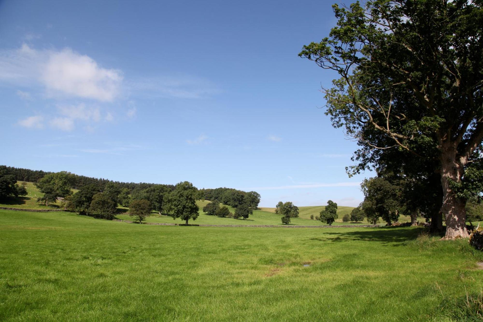 Green Grove Country House Malham Exteriér fotografie